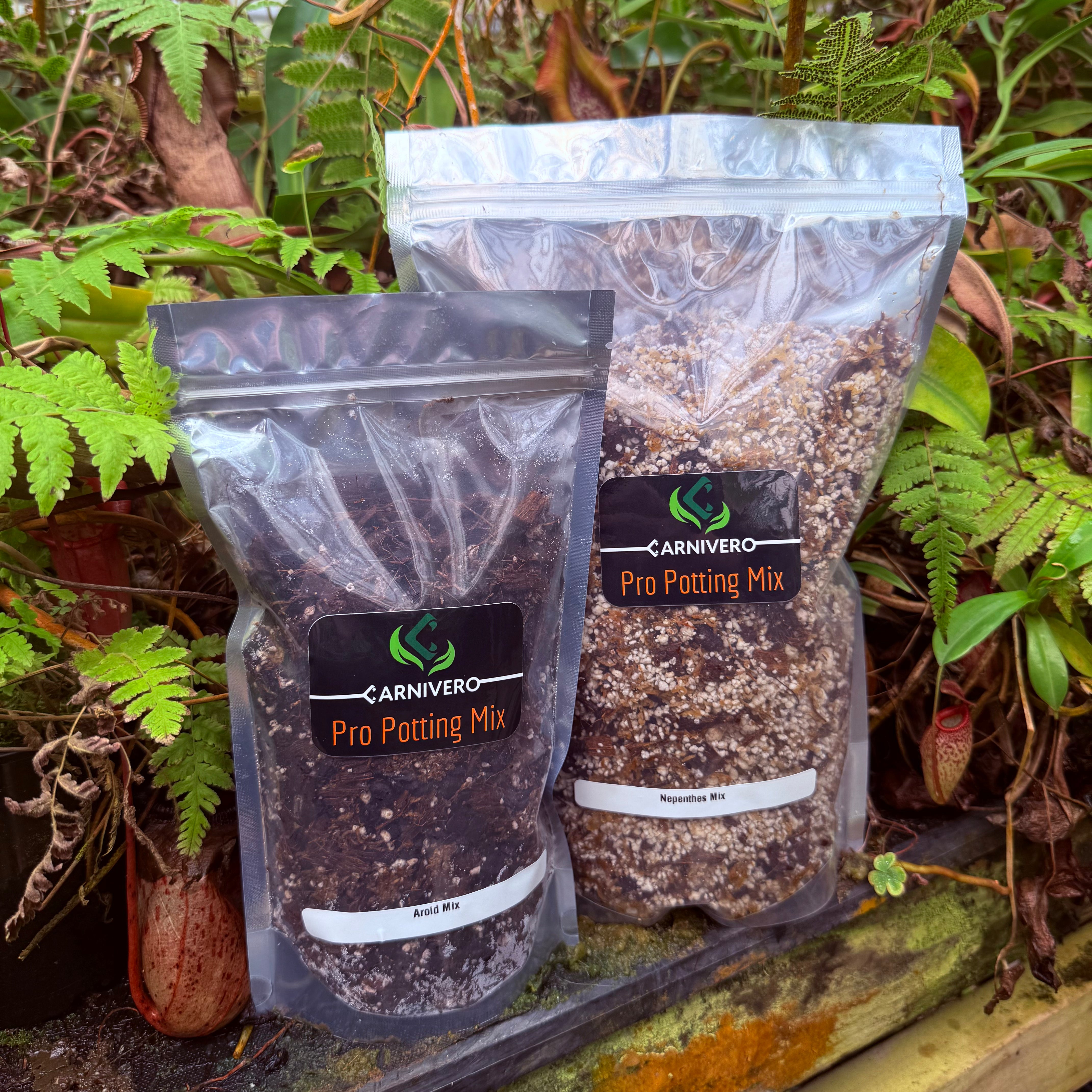 potting mix for nepenthes Carnivero Pro Potting mix