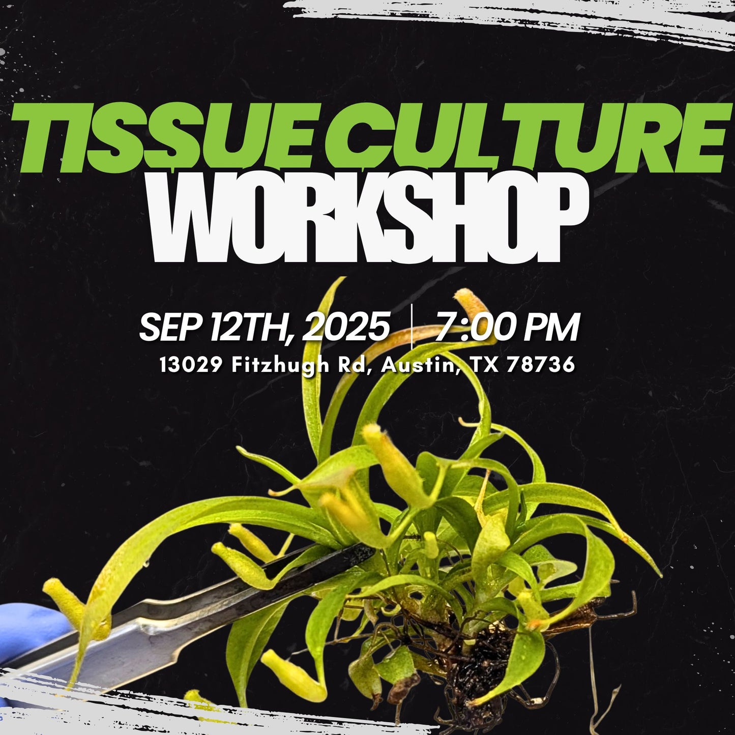 Tissue Culture 101- IN PERSON CLASS