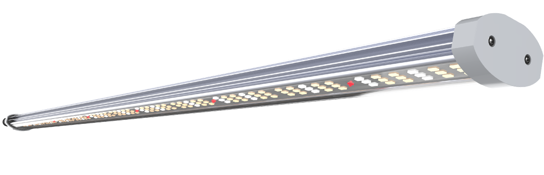 Florawave P40 Grow Light – Carnivero