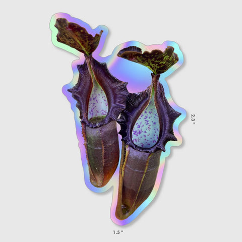 Naga pitcher plant holographic sticker with iridescent rainbow border.