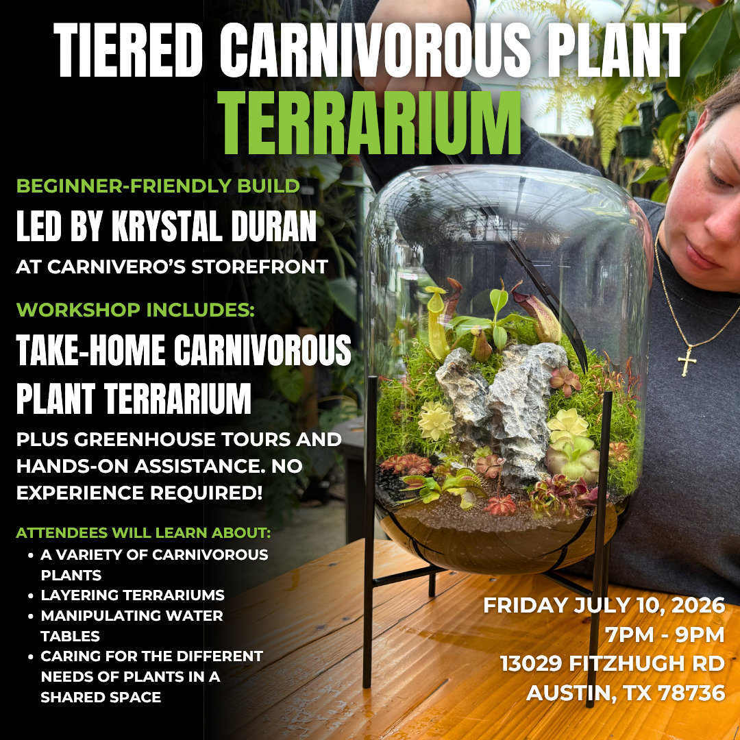 Tiered Carnivorous Plant Terrarium Workshop with Krystal Duran