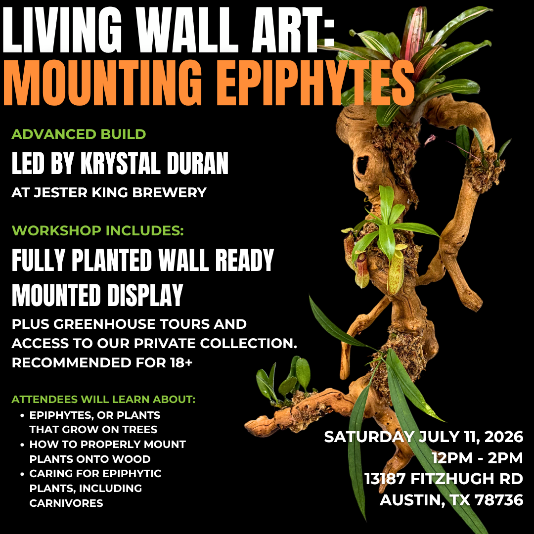 Living Wall Art: Mounting Epiphytes Workshop with Krystal Duran