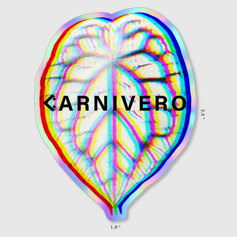 Anthurium holographic sticker with rainbow background and Carnivero branding.