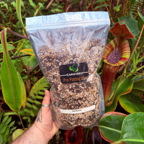 Bag of Pro Potting Mix labeled Nepenthes Mix held outdoors among tropical plants