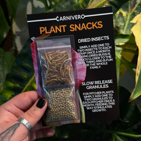 Plant Snacks packaging card with two small bags containing dried insects and slow release granules.
