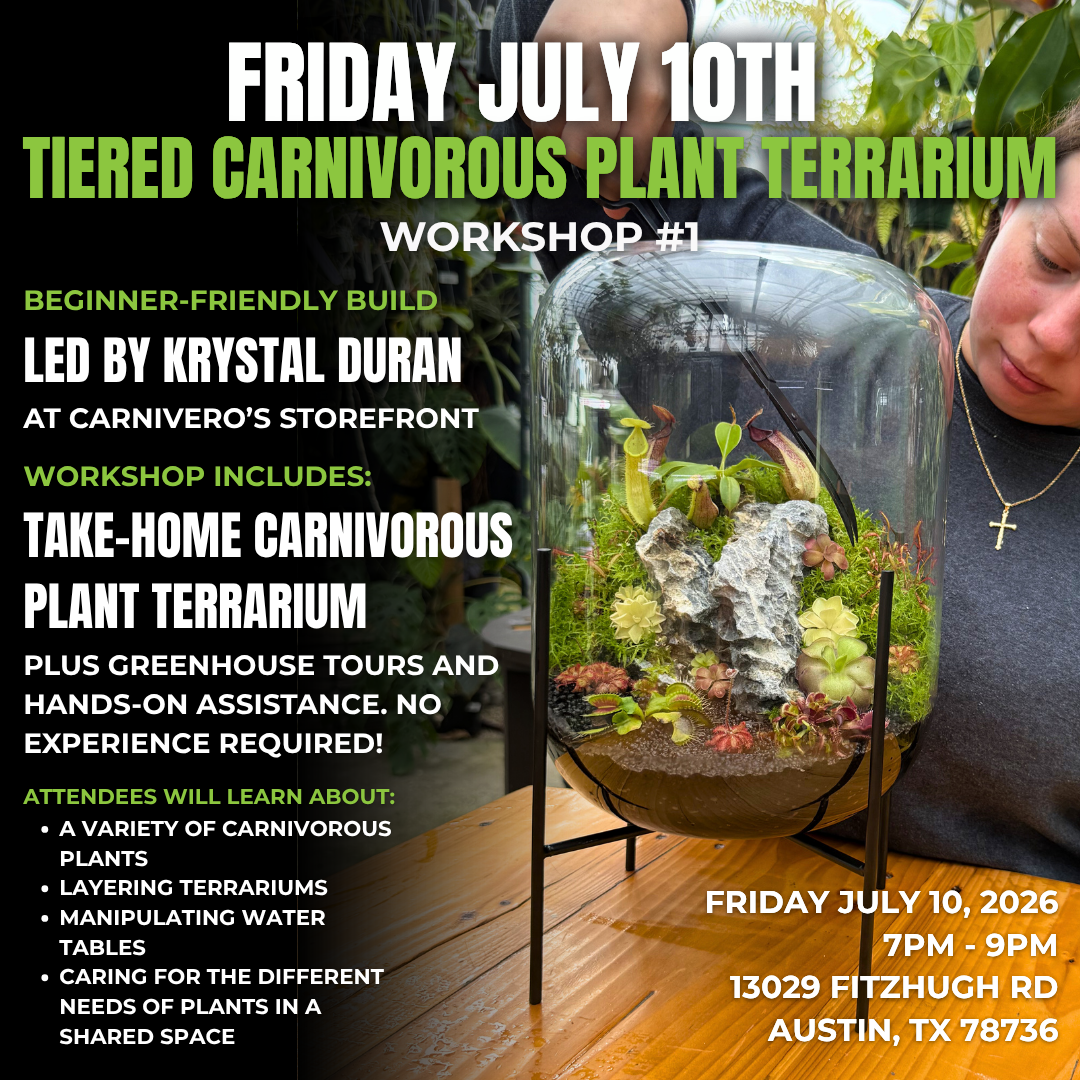 Friday Workshop: Tiered Carnivorous Plant Terrarium Workshop with Krystal Duran