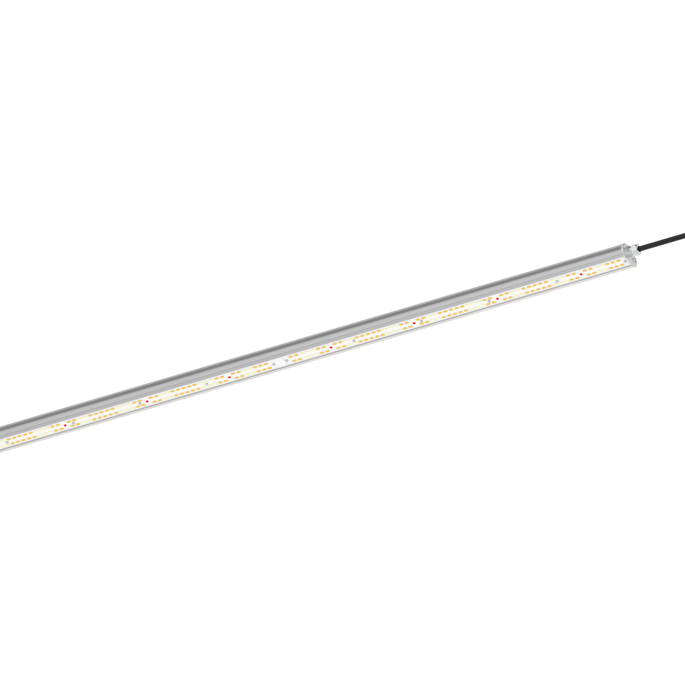 Florawave P80 Grow Light – Carnivero Florawave P80 Grow Light – Carnivero