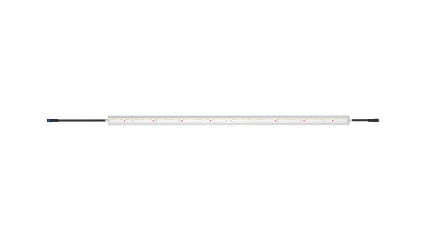 Florawave P80