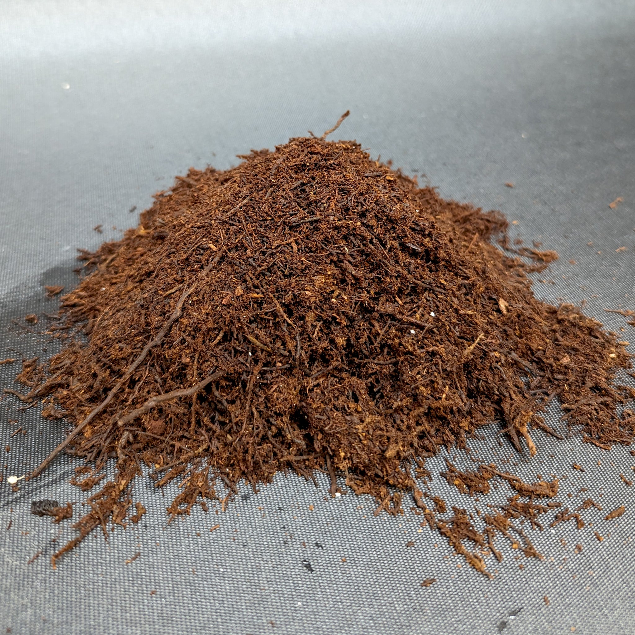 Tree Fern Fiber – Carnivero