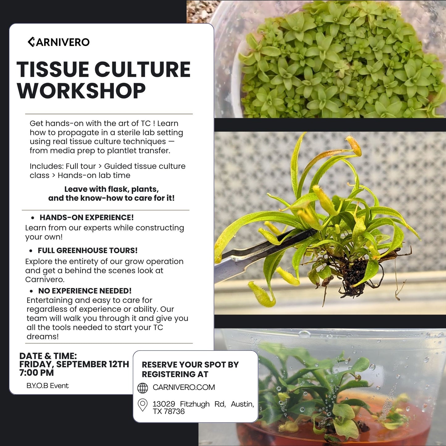 Tissue Culture 101- IN PERSON CLASS