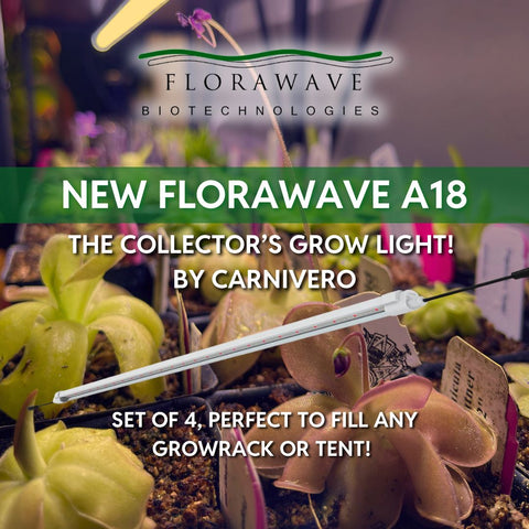 Florawave A18 grow light bar mounted over a plant display in a grow room