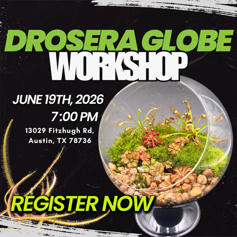 IN PERSON Drosera Globe Workshop