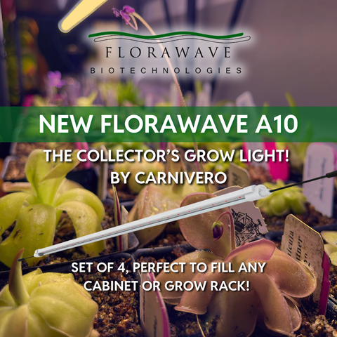 Florawave A10 Grow Light product shot above a tray of succulents in a greenhouse
