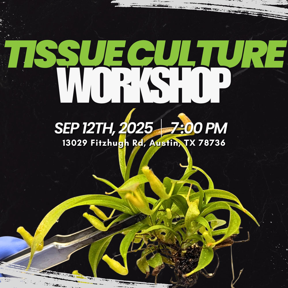 Tissue Culture 101- IN PERSON CLASS