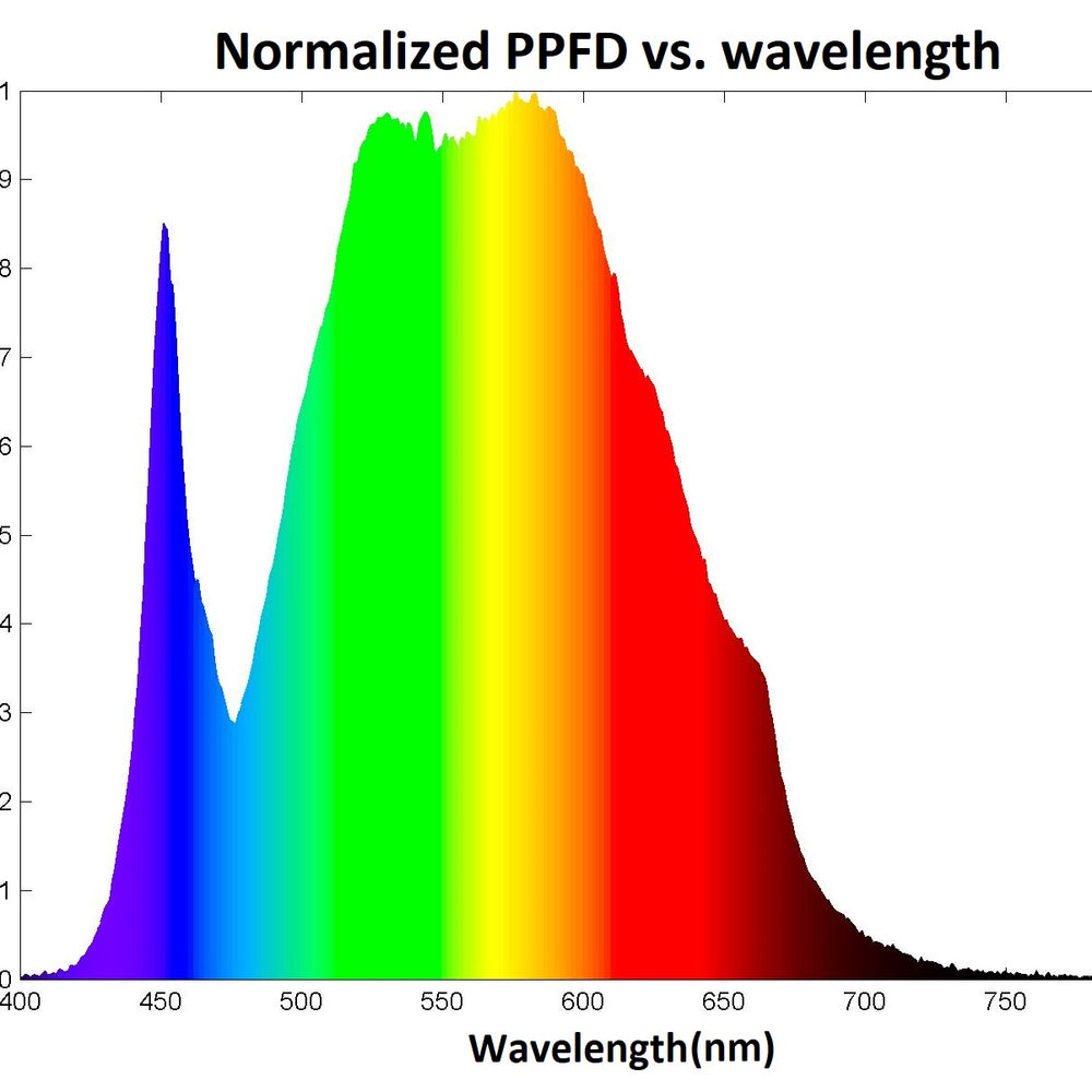 
                      
                        Florawave P40 Grow Light - Wholesale
                      
                    
