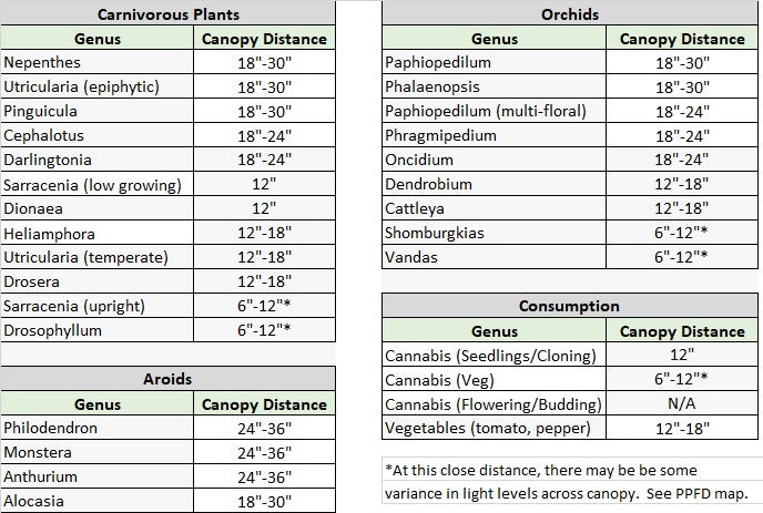 
                      
                        Florawave P40 Grow Light - Wholesale
                      
                    