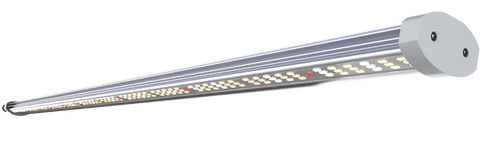 Slender Florawave P40 grow light fixture with LED array and rounded end cap