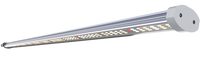 Florawave P40