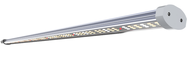 Florawave P85 - Discontinued (upgraded version is P80)