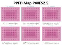 Florawave P40