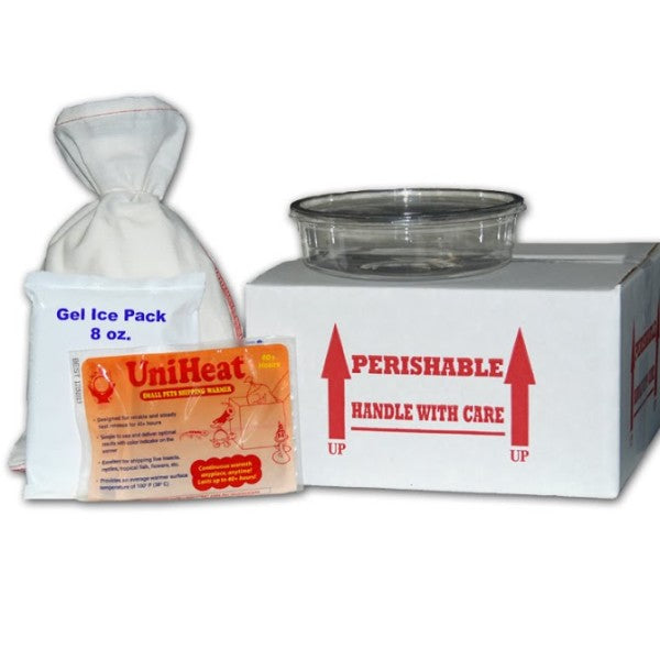 Extreme Cold Weather Shipping Kit - Double Insulated Box + Heat Pack